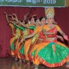 Saptha Theevaha Navratri Festival - 2019
